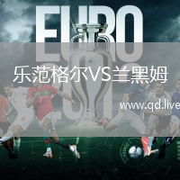 乐范格尔VS兰黑姆